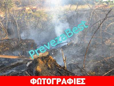 Ιδιοκτήτης χωραφιού κατηγορεί τον αδερφό του ως εμπρηστή