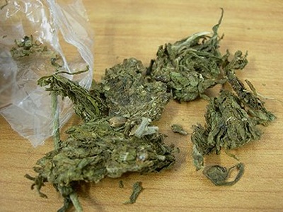 Η κάνναβη τον έβαλε σε μπελάδες