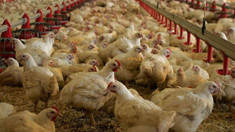 Αχαΐα: Ανάγκαζε αλλοδαπούς να εργάζονται στην επιχείρησή του χωρίς να τους πληρώνει