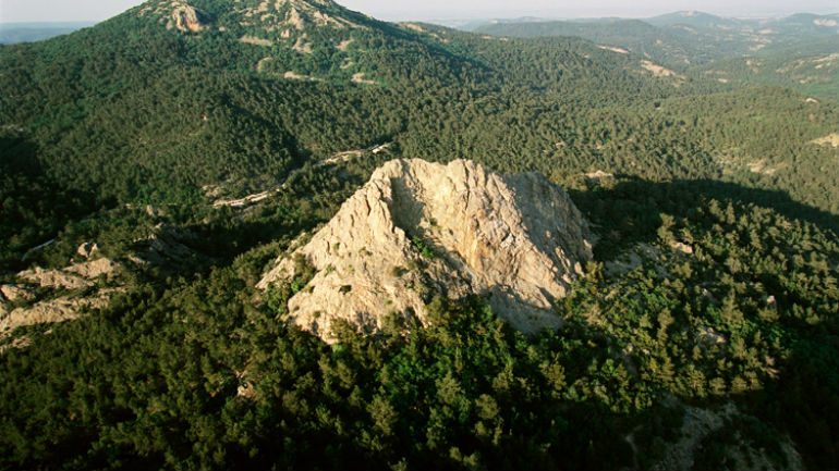 Σουφλί: Ρίχνουν φόλες σε ζώα