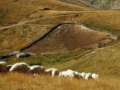 Οικογενειακές “μπίζνες”