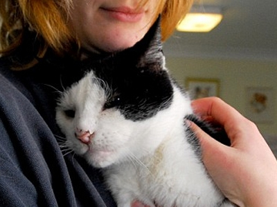 Φακοί επαφής… για ζώα