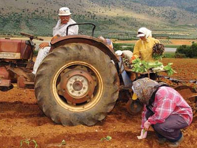 Ριζικές ανατροπές στο συνεταιριστικό κίνημα