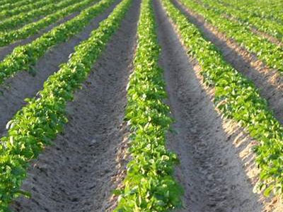 Οι αγροτικές προτεραιότητες της Ουγγρικής προεδρίας