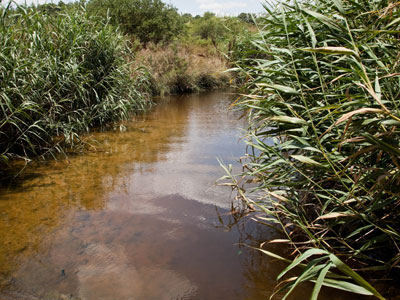 Απειλή «λουκέτου» στις βιομηχανίες που ρυπαίνουν τον Ασωπό