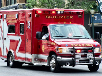 Πέθαναν από επίθεση επτά σκύλων