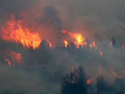 Άρχισε το πρόγραμμα για την πρόληψη δασικών πυρκαγιών