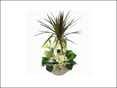 Η δράκαινα του γενικού γραμματέα της Βουλής