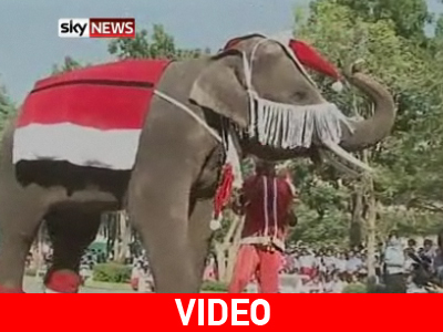 Υπερμεγέθης «τάρανδος»