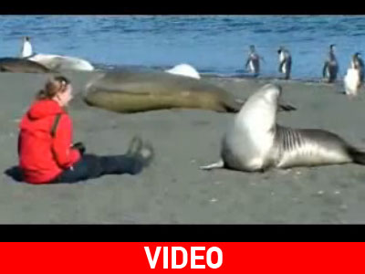 Η αγάπη είδη δεν γνωρίζει