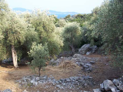 Εξιχνιάστηκε το θρίλερ με το θάνατο ενός 56χρονου