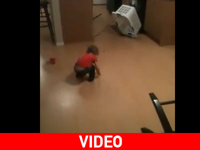 Είδε το τυρί αλλά όχι τη φάκα