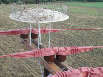 Τεχνητές φωλιές σε στύλους της ΔΕΗ