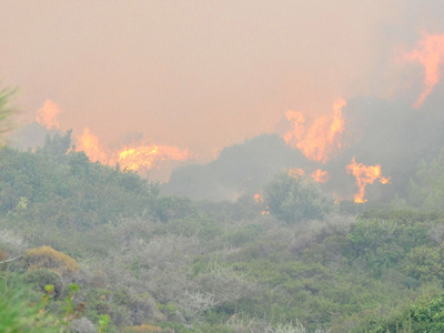 Πυρκαγιά στη Ρόδο