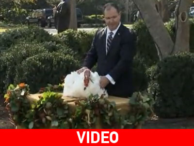 H τυχερή τους ημέρα