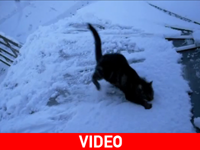 Που έβαλα τα αντιολισθητικά;