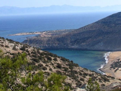 Τρία άτομα «έσπασαν» την αποχή