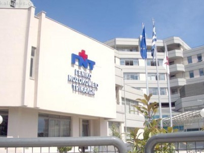 Σε κώμα από τσίμπημα σφήκας