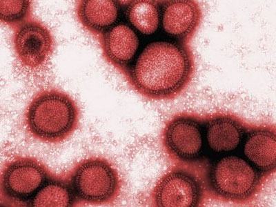 Τρίτος νεκρός από τον Η1Ν1