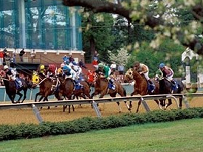 Απόφαση του ΣτΕ για το ιππδρομιακό στοίχημα