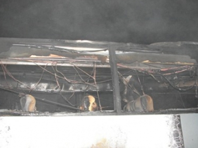 Συνεχίζονται τα μαφιόζικα χτυπήματα σε τουριστικά λεωφορεία