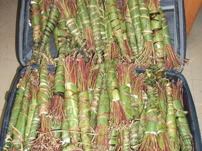 Τον περίμεναν στο αεροδρόμιο