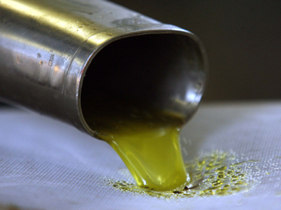 Εκδήλωση για το ελαιόλαδο και τις ιδιότητές του