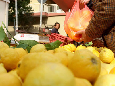 Χρησιμοποιούσαν ως δόλωμα λεμόνια και πορτοκάλια