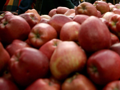 Συναγερμός για ακατάλληλα μήλα από τη Χιλή