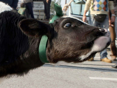 Έκλεψαν και το μέσο μεταφοράς των κλοπιμαίων