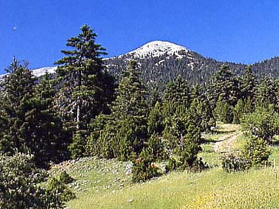 Καμπανάκι κινδύνου για την εκτός σχεδίου δόμηση στις περιοχές Natura