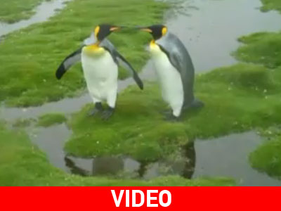 Το σταυροδρόμι