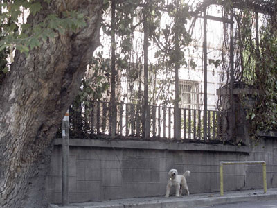 Ανάληψη ευθύνης στη zougla.gr για τις μολότοφ στο Τουρκικό Προξενείο