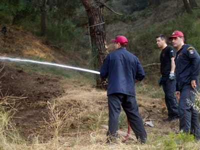 Καλή αντιπυρική χρονιά το 2010