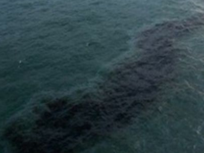 Στη φυλακή για τη ρύπανση μετά από ναυάγιο