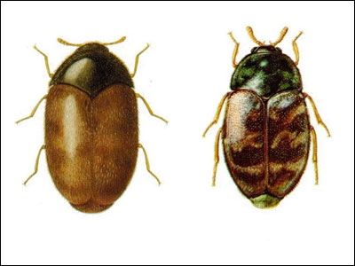 Πρόλαβαν την καταστροφή