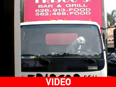 Όταν λέμε θέλω να βγω, εννοώ θέλω να βγω