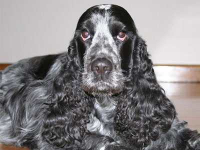 ΤΑ ΝΕΑ ΤΟΥ ΜΠΙ-ΚΟΥ-ΤΙ