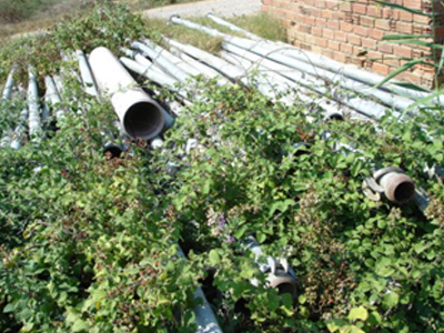 Κλέβουν τα πάντα