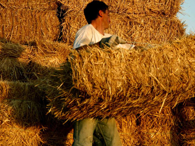 Στο μικροσκόπιο της Ε.Ε. για κρατικές ενισχύσεις