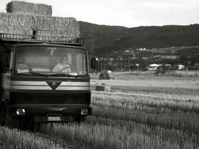 Βουλευτές του ΠΑΣΟΚ ρωτούν για τα αγροτικά προϊόντα