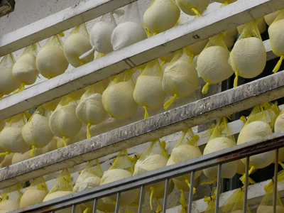 Ριφιφί σε… τυροκομείο!