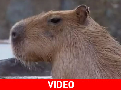 Αυτή είναι ζωή…