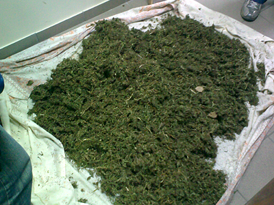 Χρησιμοποίησαν πολυβολείο ως αποξηραντήριο χασίς