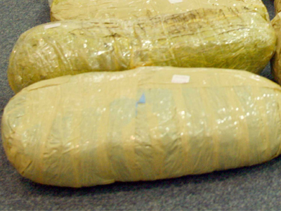 Βρήκαν 110 κιλά χασίς μέσα σε θάμνους