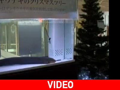 Τι σκέφτηκαν για να ανάψουν τα χριστουγεννιάτικα λαμπιόνια;