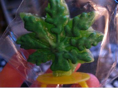 Στα δίχτυα της ινδικής κάνναβης από 7 χρονών