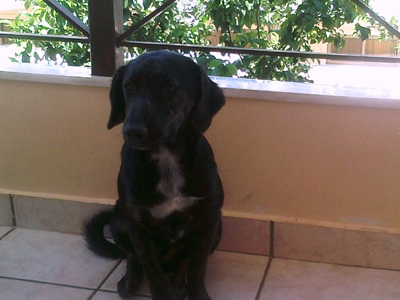 Ο Μαυρούλης ψάχνει σπίτι