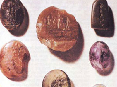 Μαύρο «φίδι» που τον έφαγε