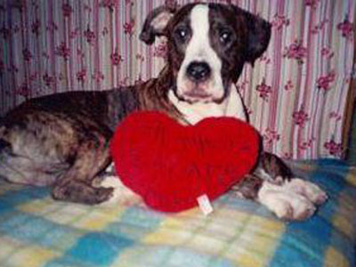 Χάθηκε ο Μαξ